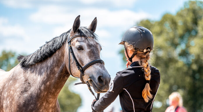 A girl showing her horse.