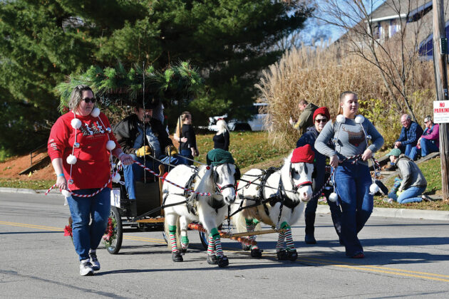 Minis decked out in holiday gear.