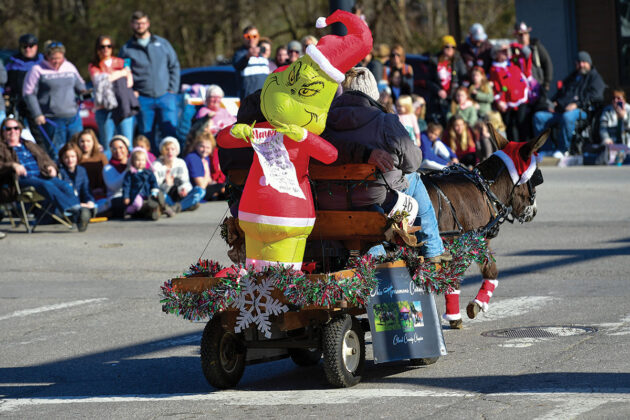 Dr. Seuss’ Grinch rides on the back of a cart pulled by a miniature donkey at the Lebanon Horse-Drawn Carriage Parade and Christmas Festival.