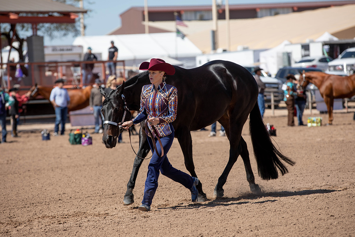 A showmanship class.