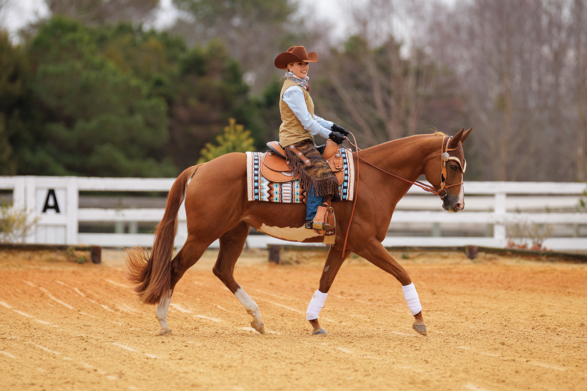 Competing in western dressage