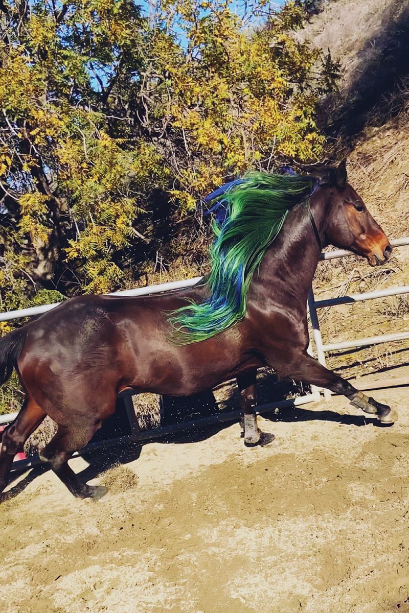 A horse with a long green and blue mane galloping