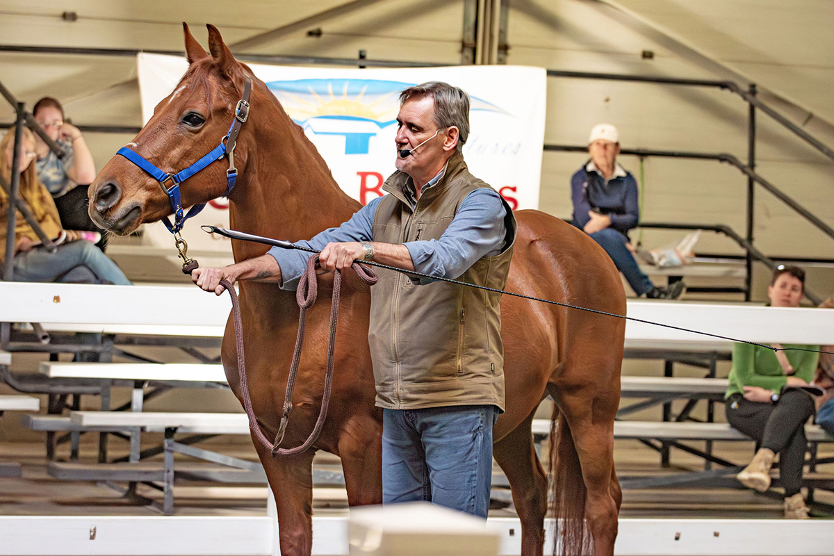 A clinic at Equine Affaire Massachusetts 2024.