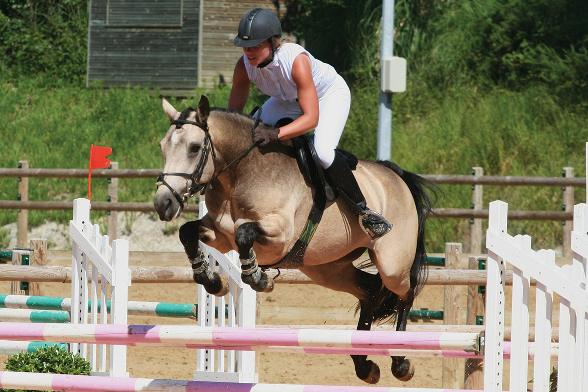 An equestrian jumping