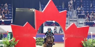 Indoor eventing at the Royal Agricultural Winter Fair Horse Show