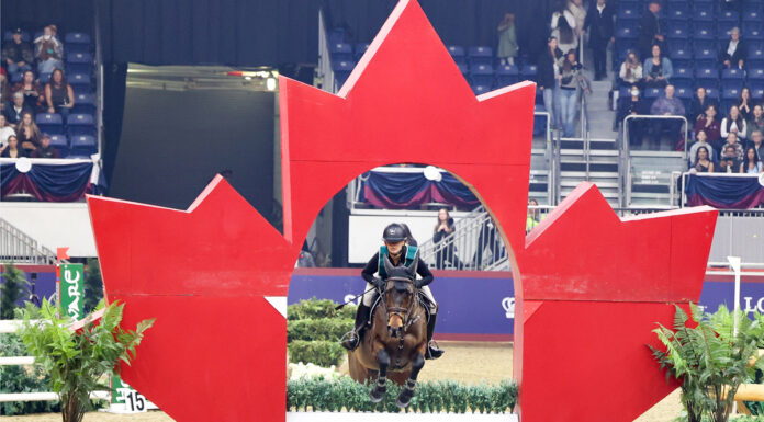 Indoor eventing at the Royal Agricultural Winter Fair Horse Show