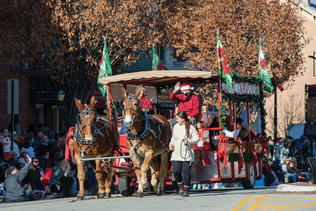 draft mules pulling a float