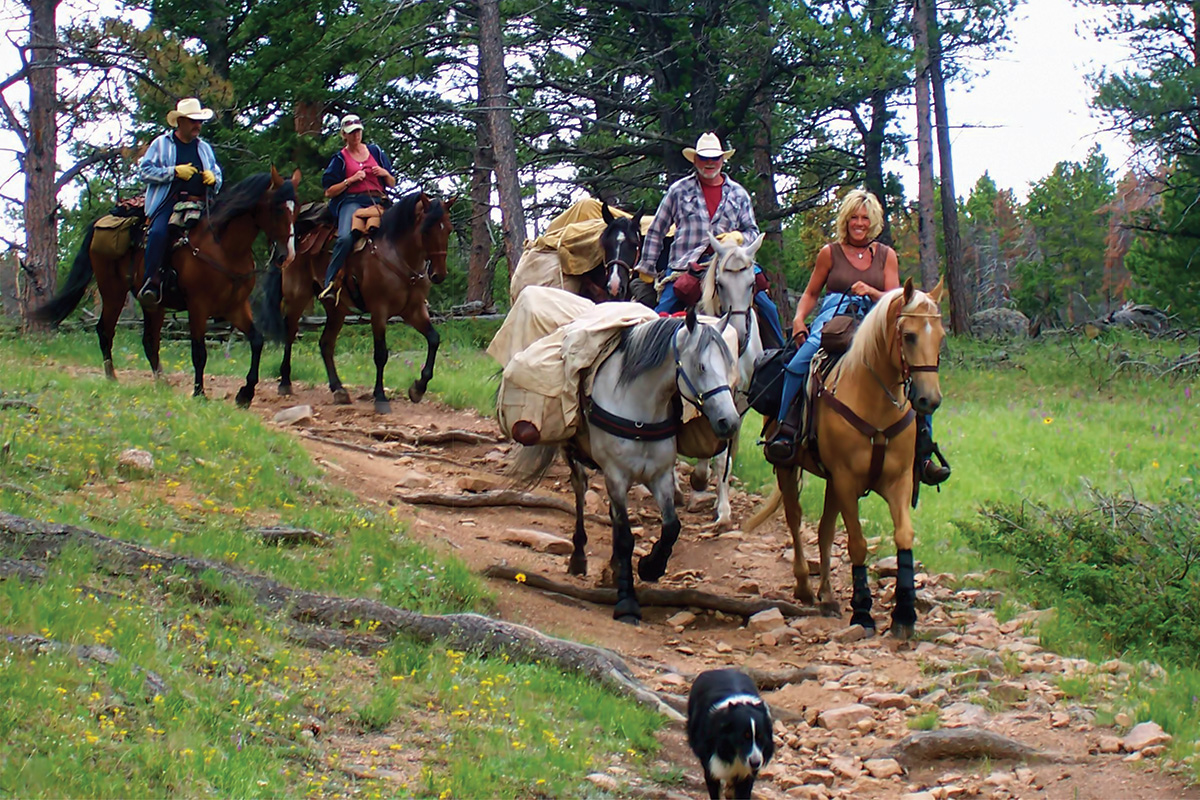 Missouri Fox Trotter horses on a trail ride