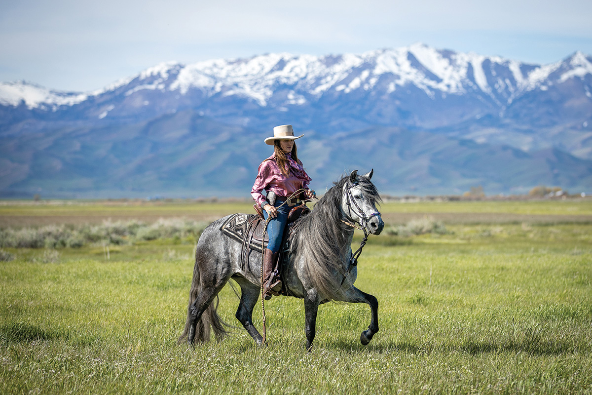 A Peruvian Horse performing one of its trademark gait with the Andes Mountains in the background