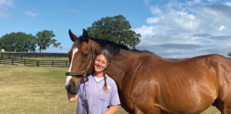 A woman with a horse