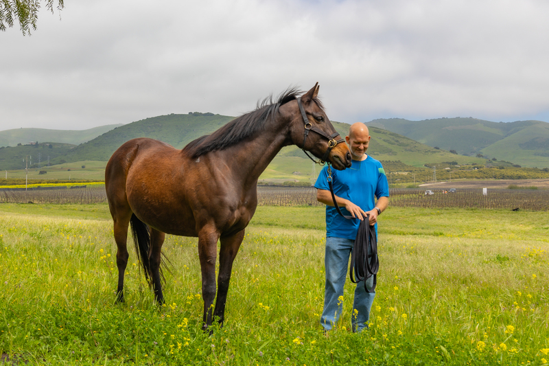 A veteran with an OTTB in a field.