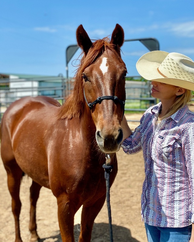 A cowgirl with a sorrel gelding.