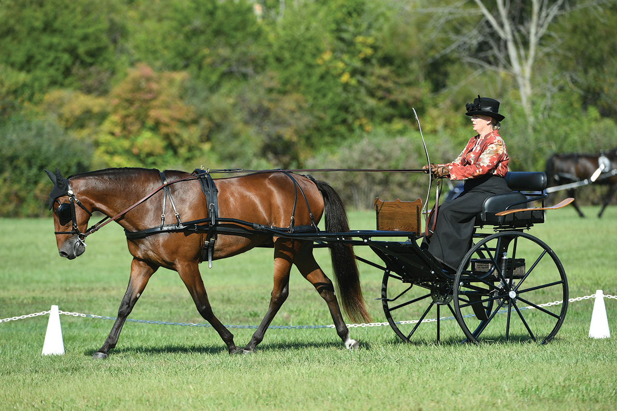 Sara Dunham and her 6-year-old off-track Standardbred, Frankie’s Rockstar, competing in this sport