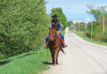 Training a horse on the trail to avoid the common horse training mistake of being repetitive