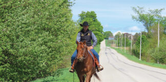 Training a horse on the trail to avoid the common horse training mistake of being repetitive