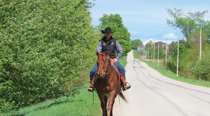 Training a horse on the trail to avoid the common horse training mistake of being repetitive