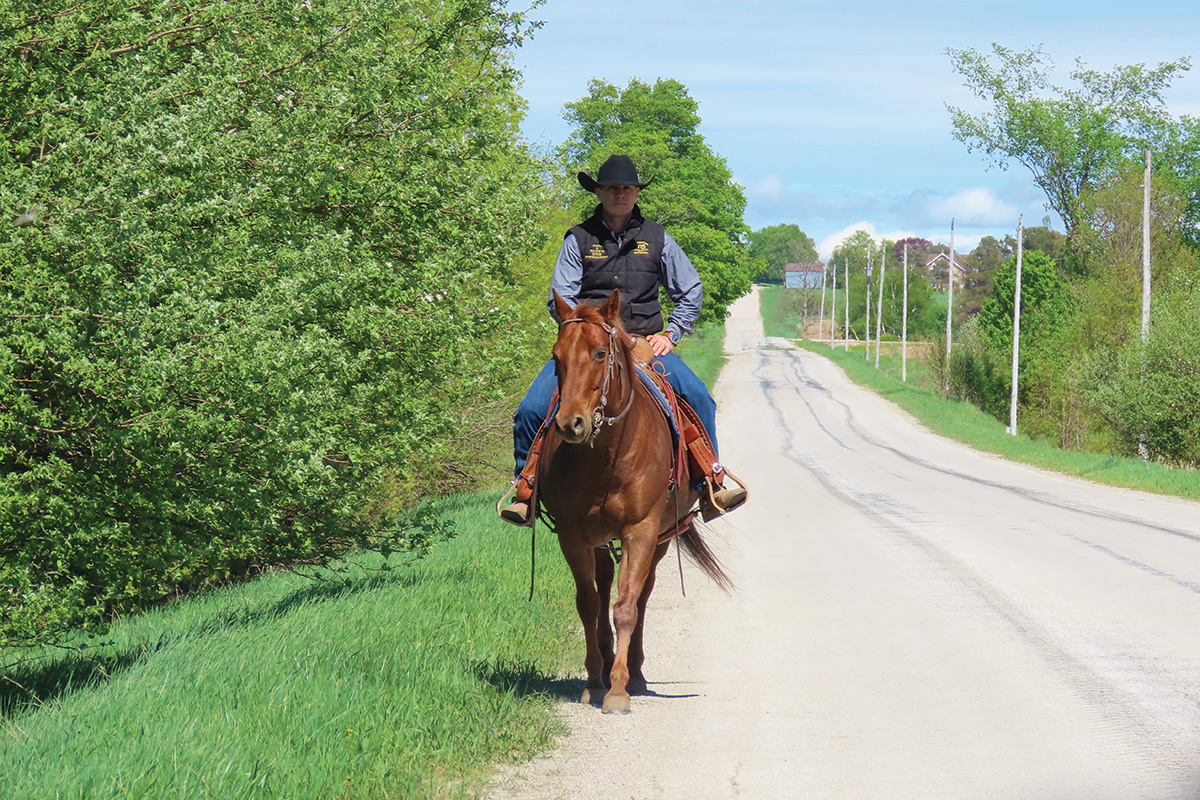 Training a horse on the trail to avoid the common horse training mistake of being repetitive