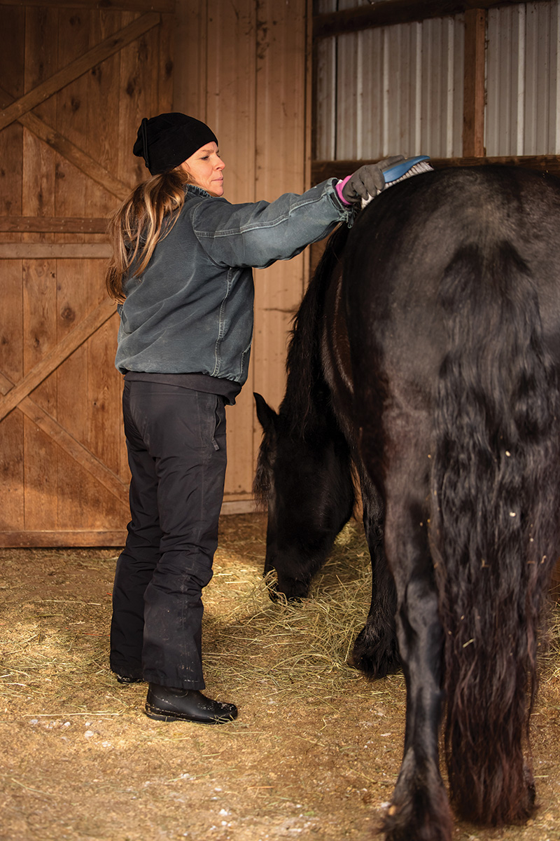 An equestrian grooming a horse, which can help with winter fitness. Check out more equestrian winter fitness tips in this article.