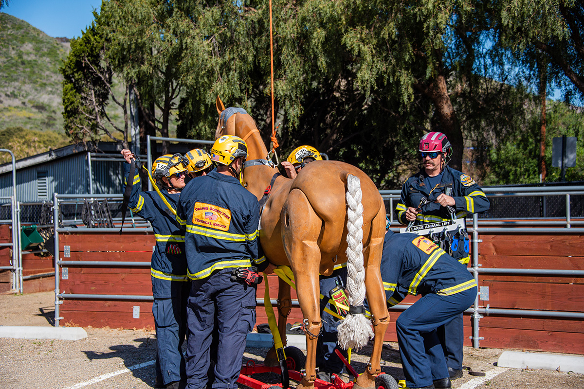Firefighters practice a mock equine rescue training simulation with a life-size model horse