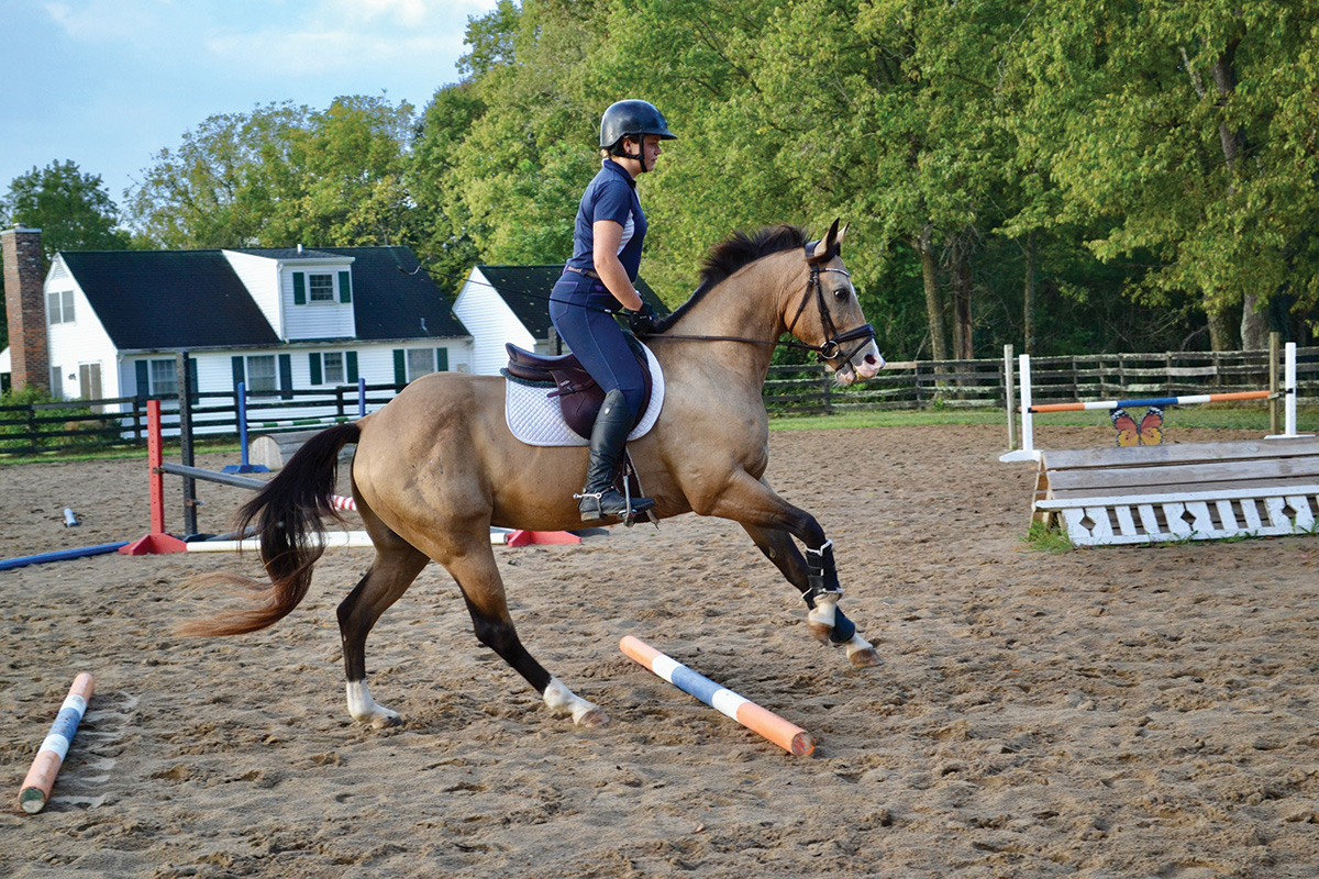 Cantering a buckskin over an obstacle.