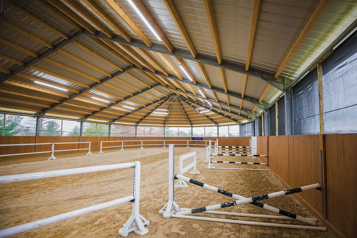 A horse arena set up for free jumping