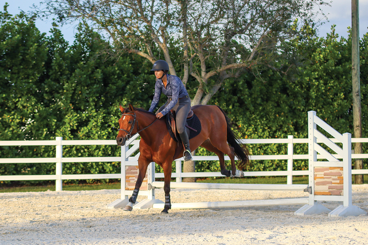 An equestrian and bay mare clear a fence