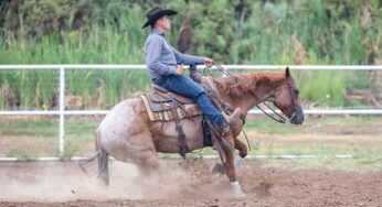 Trail Riders: Boot Up With Caution - Horse Illustrated