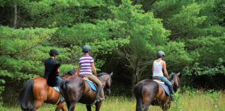 A group trail riding on a multi-use trail