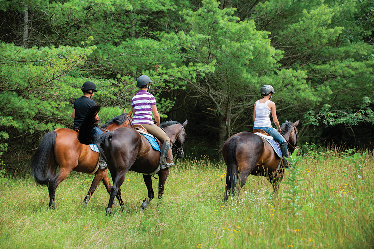 A group trail riding on a multi-use trail