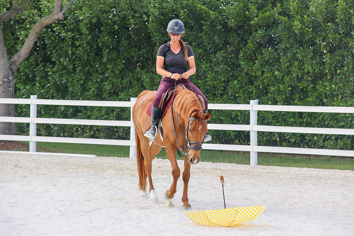 A spooky horse observing an umbrella