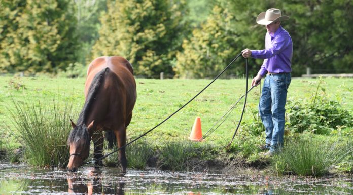 Teaching water crossing