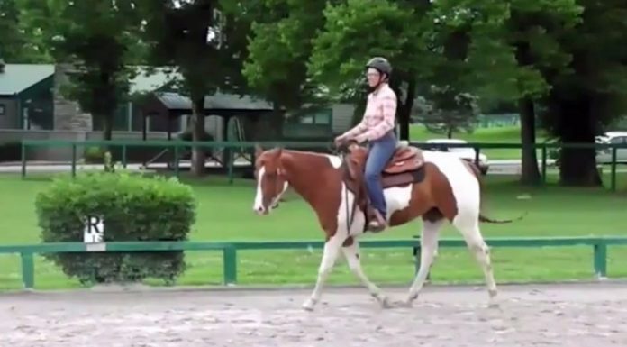 Video: How to slow your horse down.