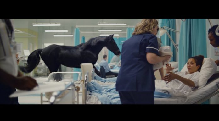 Black Stallion Stars in Lloyds Bank Commercial