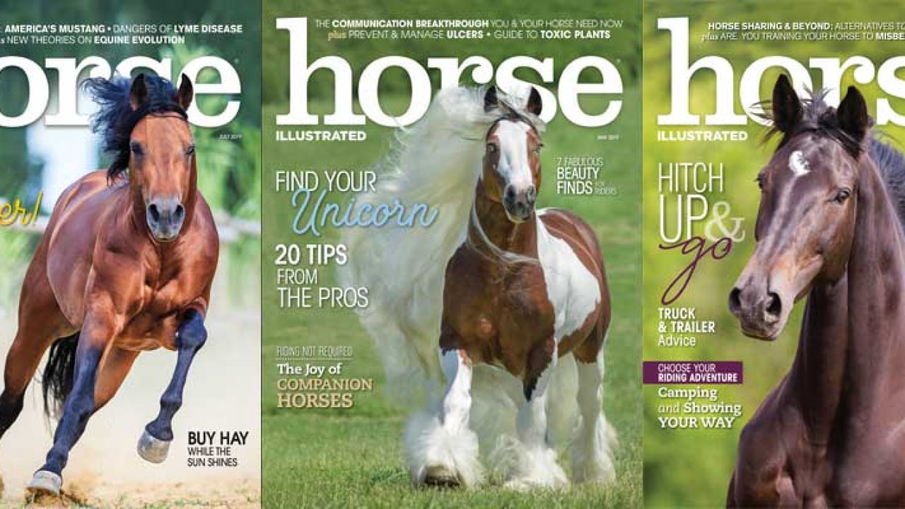 Blanket Fit for Any Horse - Horse Illustrated magazine