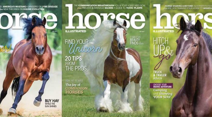 Horse Illustrated 2019 covers