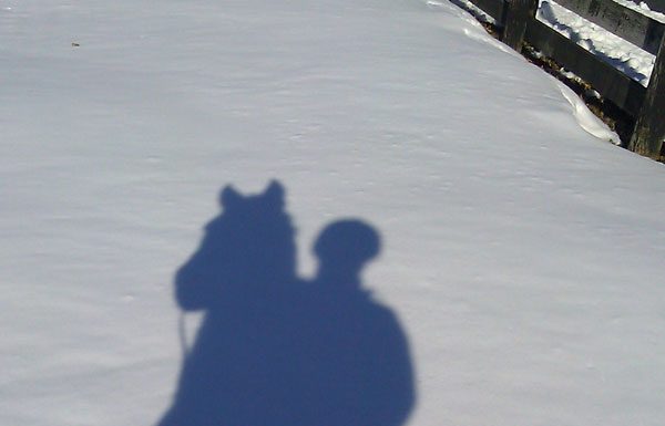 winter ride shadow