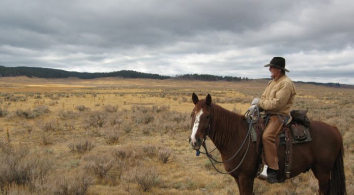 yellowstone