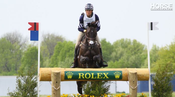 rolex boyd martin