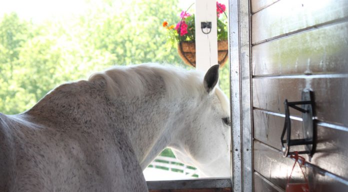 barn tour