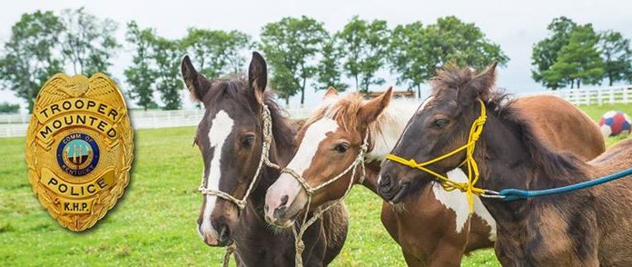 khp police horses