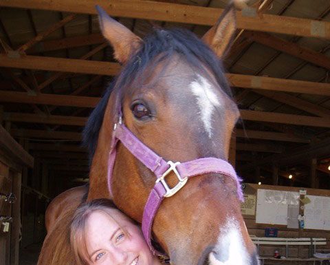 brown horse with girl