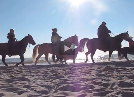 beach ride