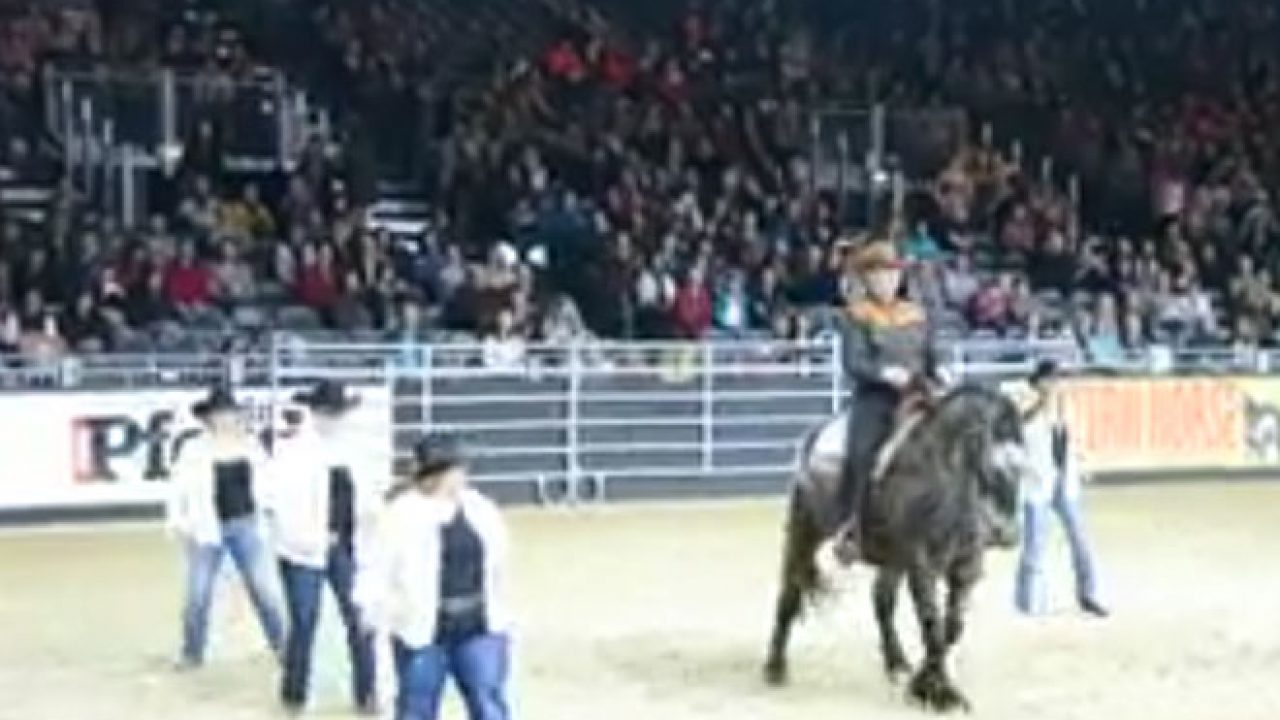 Featured Video: Line-Dancing Horse - Horse Illustrated