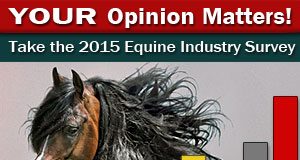 horse industry survey