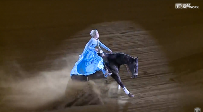 kentucky reining cup