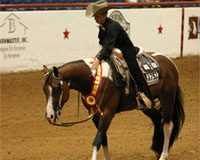 apha world show