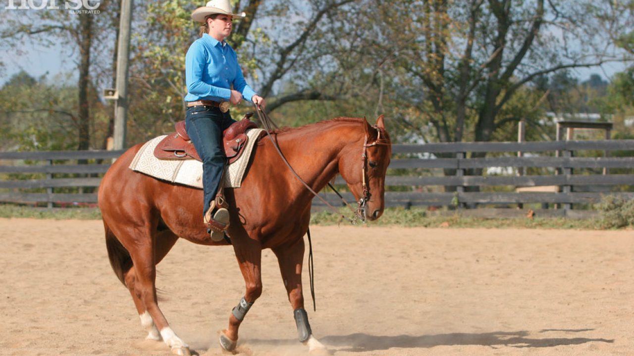 Teach Your Horse to Back - Horse Illustrated