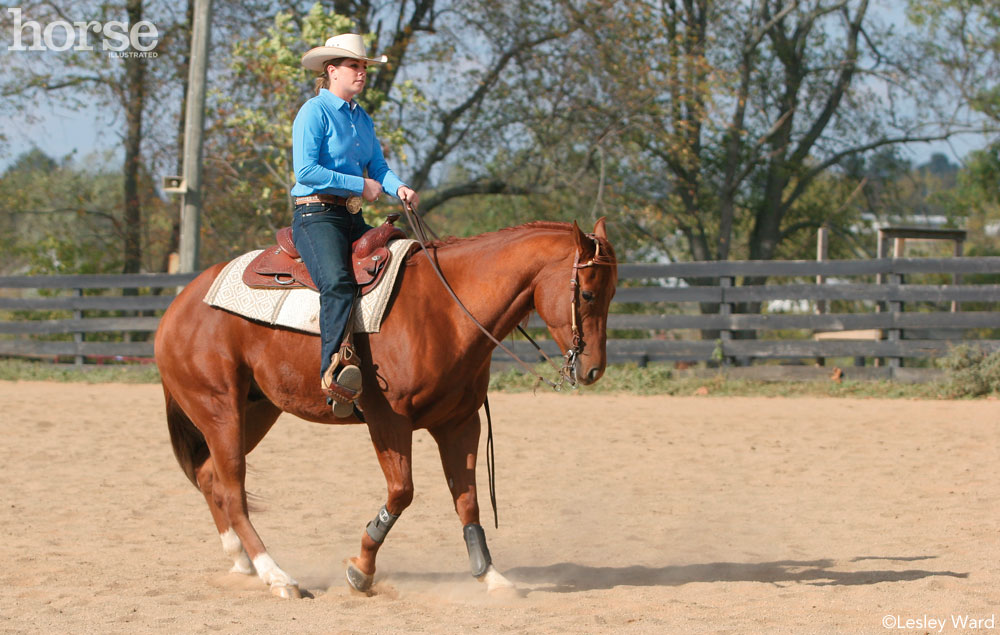 Ask the Expert: Teach Your Horse to Back Up - Horse Illustrated
