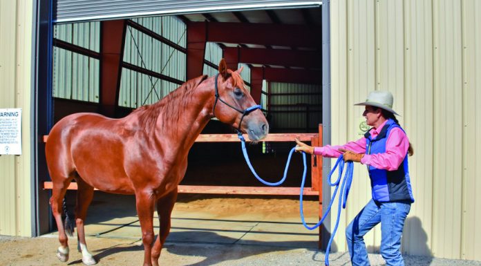 barn aisle back