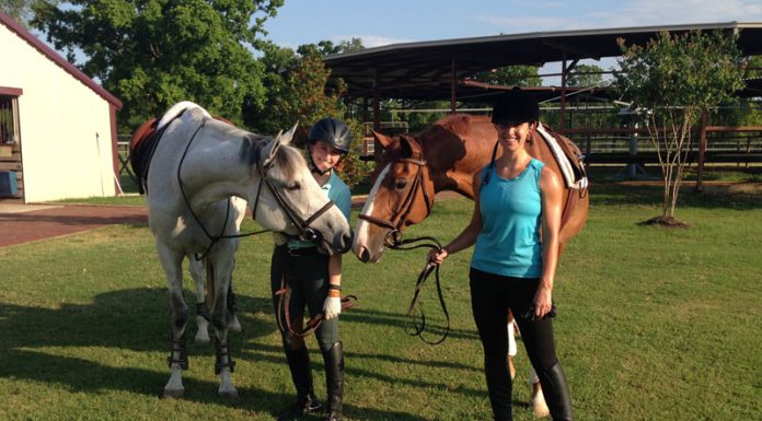 barn friends